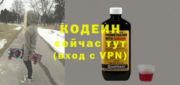 мдпв Бородино