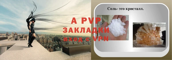 мдпв Бородино