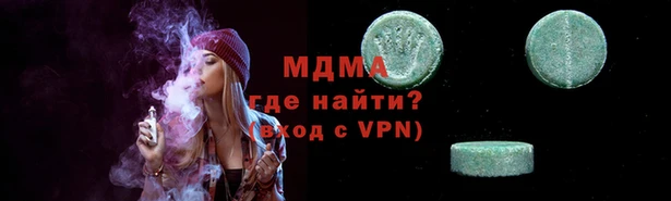 мдпв Бородино