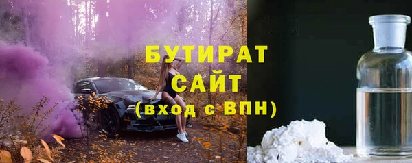 мдпв Бородино
